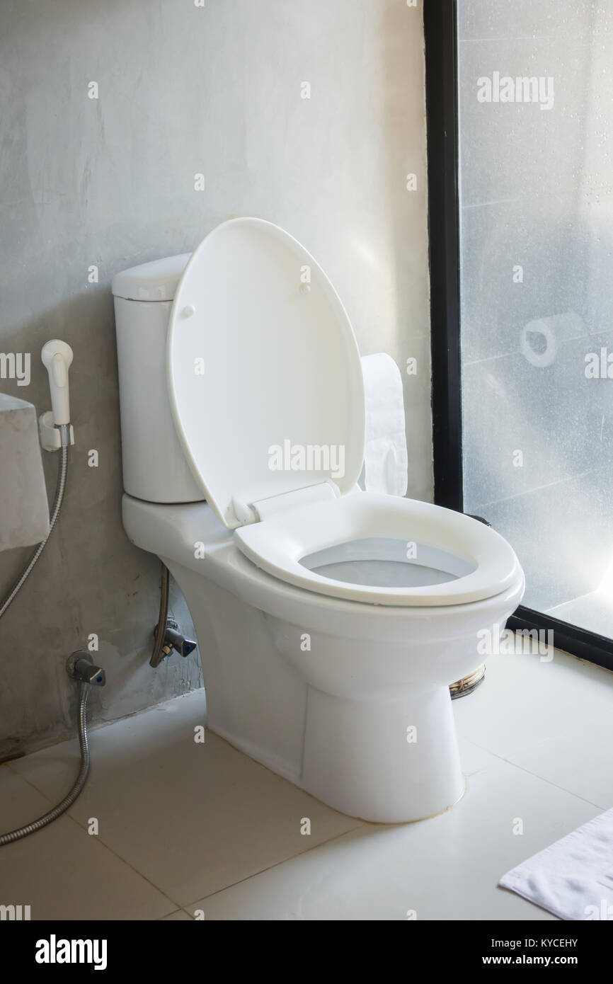Toilet seat in bathroom interior Stock Photo - Alamy
