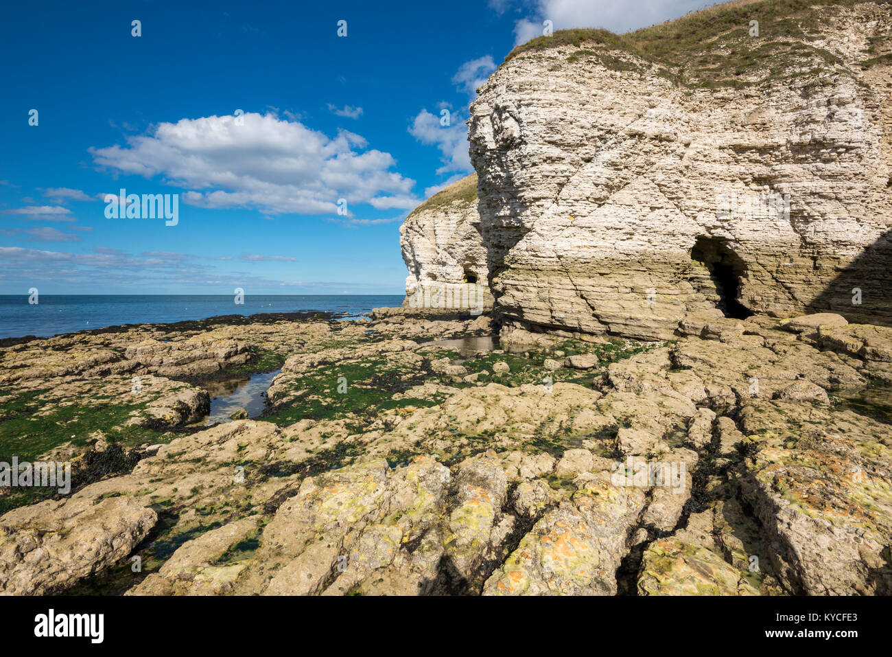 Chalk cliffs at North Landing, Flamborough, North Yorkshire, England