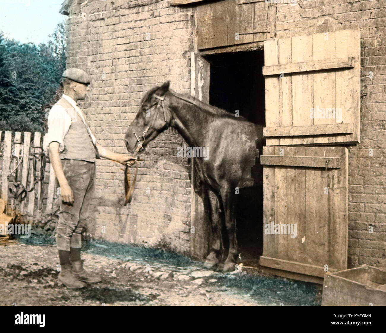 Horse in stable, Victorian period, hand coloured photo Stock Photo