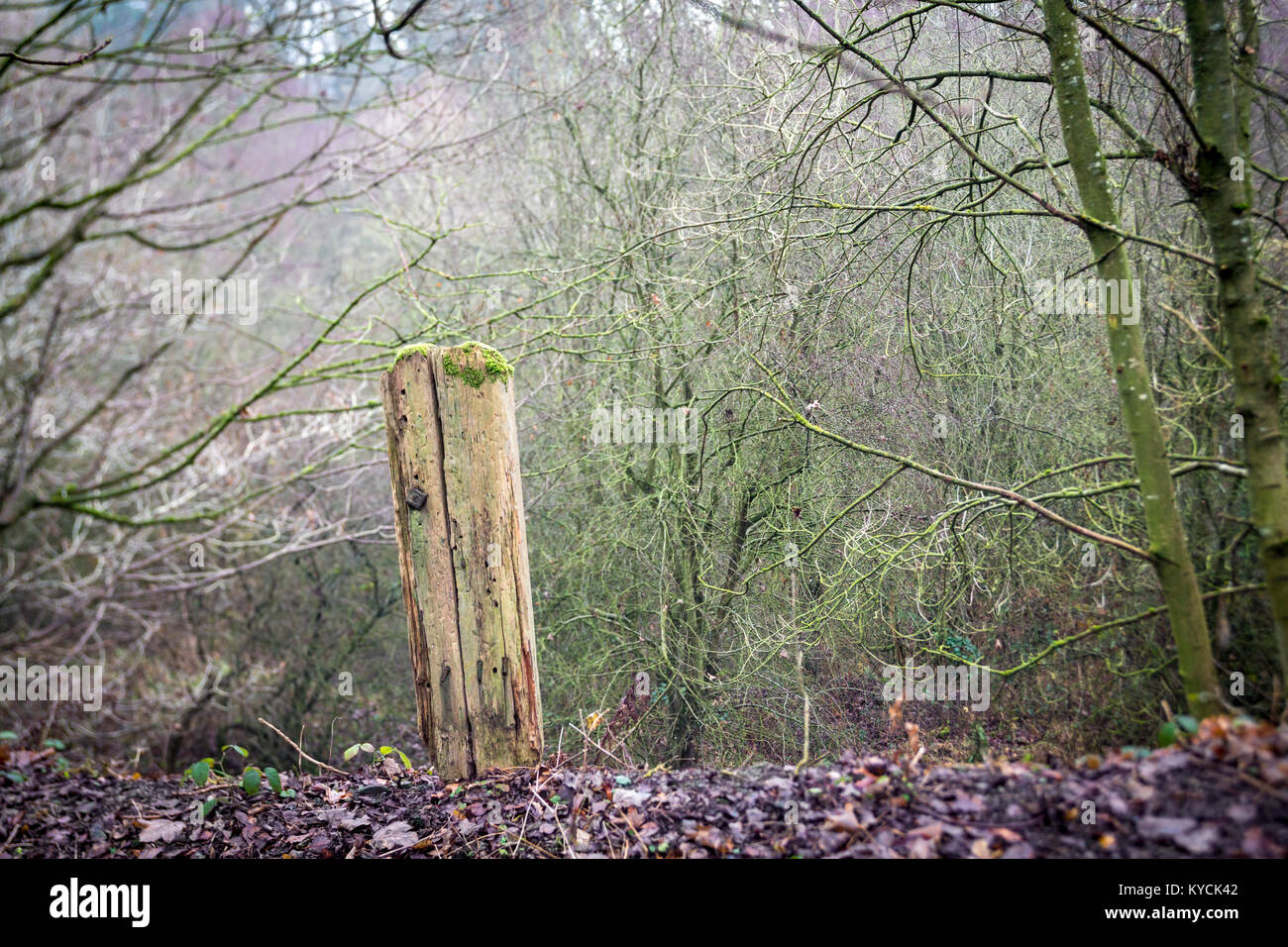Wooden post at the edge of disused railway line Stock Photo