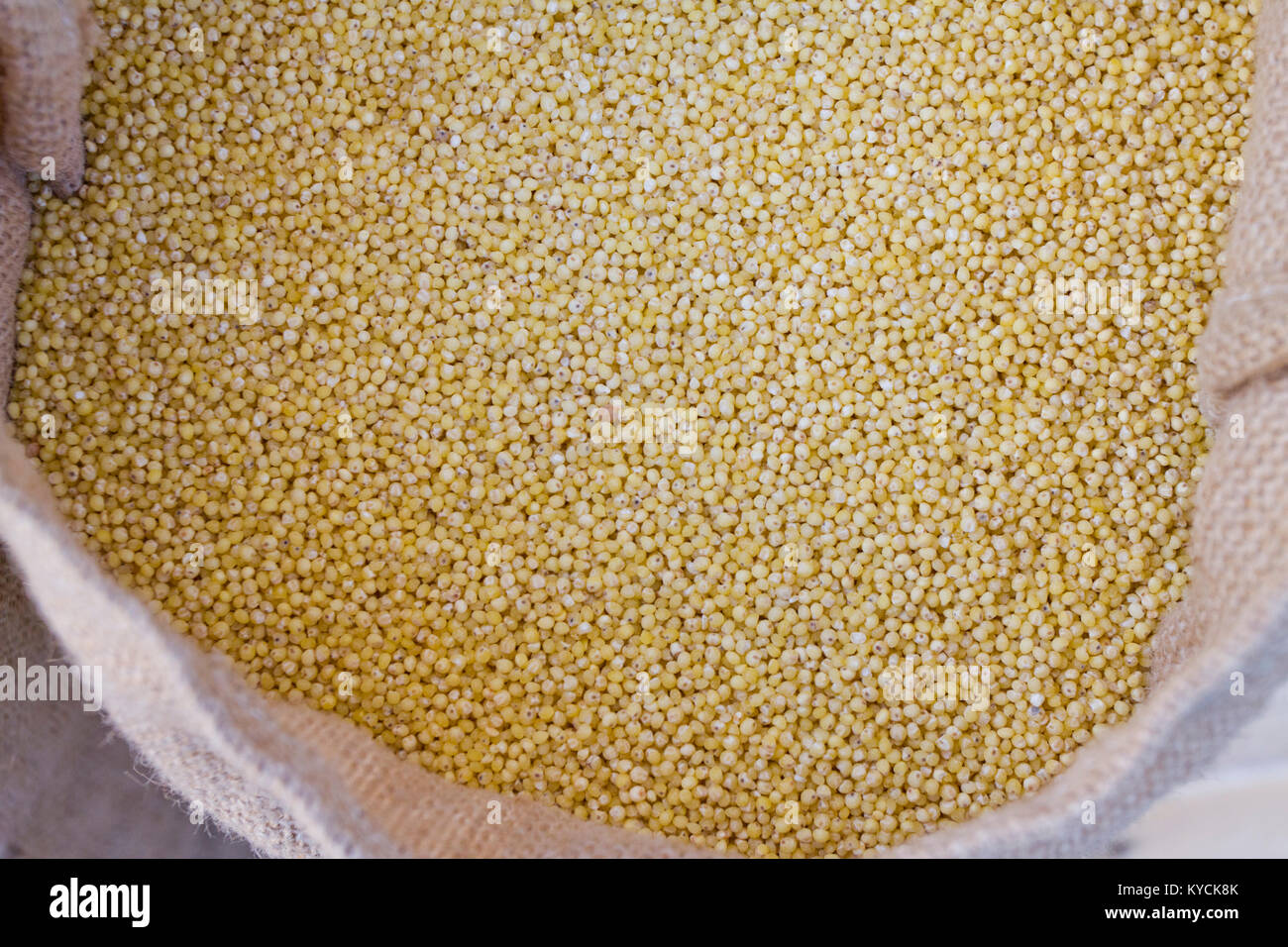 Millet. Organic millet in a bag for storage on a farmers market. Millet