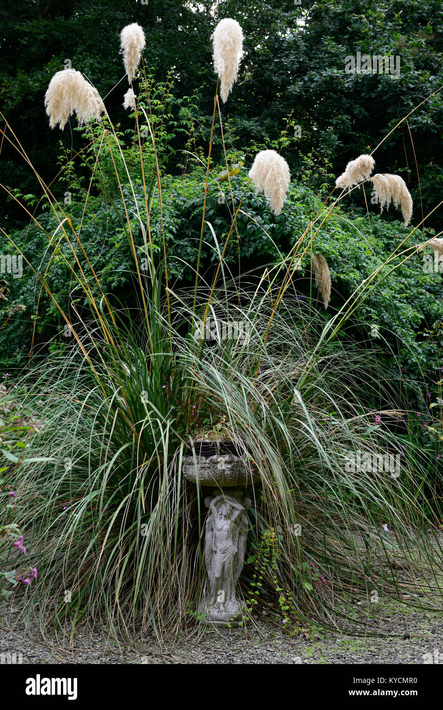 pampas grass,water font,statue,garden feature,overgrown,unkempt,requires attention,in need of attention,garden,gardens,poor condition,RM Floral Stock Photo