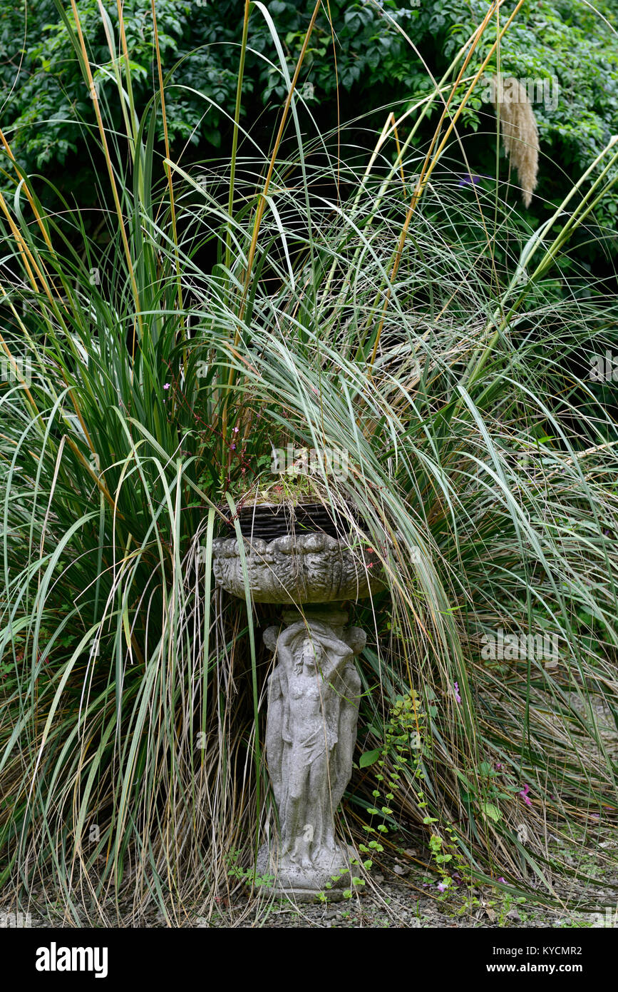 pampas grass,water font,statue,garden feature,overgrown,unkempt,requires attention,in need of attention,garden,gardens,poor condition,RM Floral Stock Photo