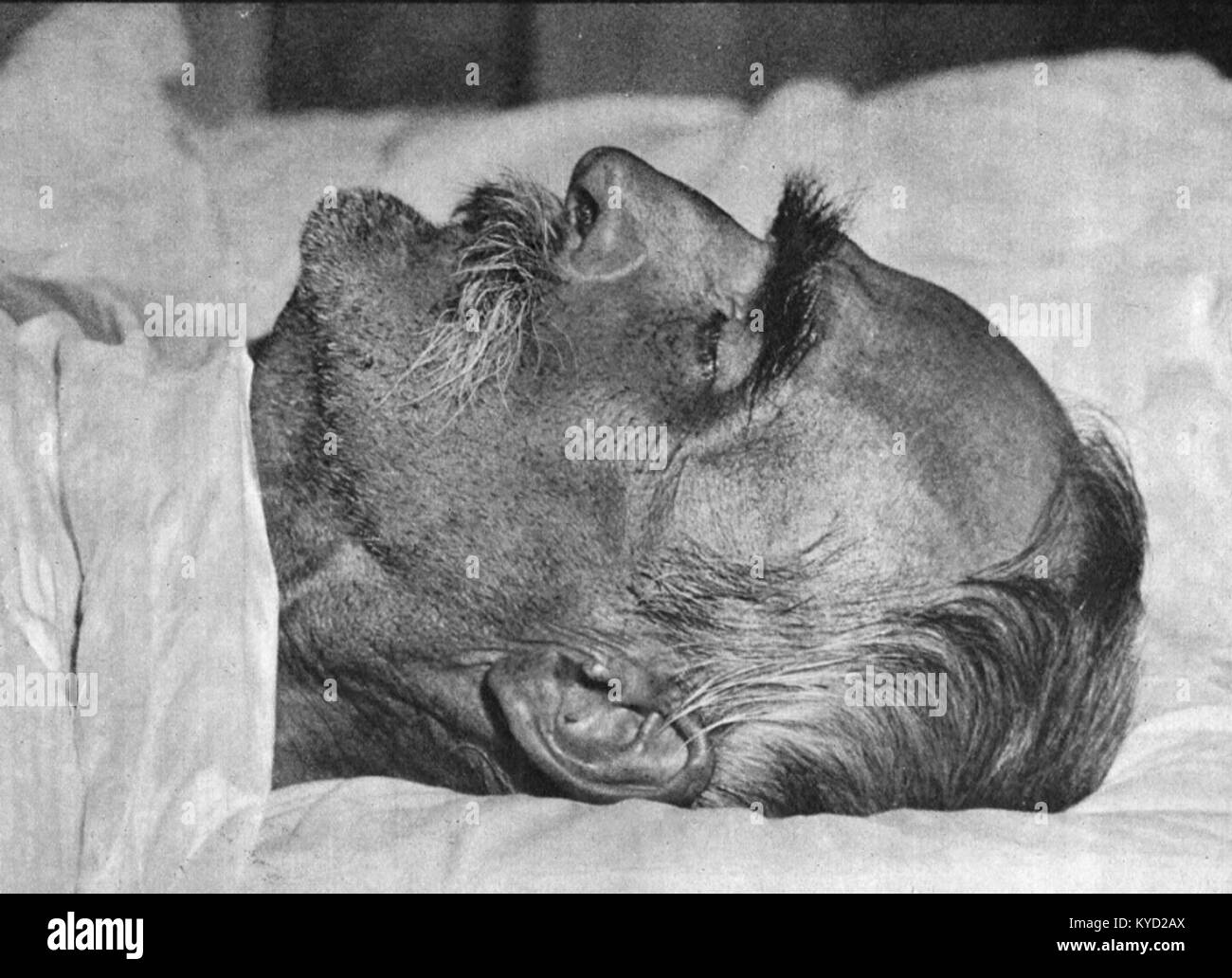 Piłsudski po śmierci Stock Photo