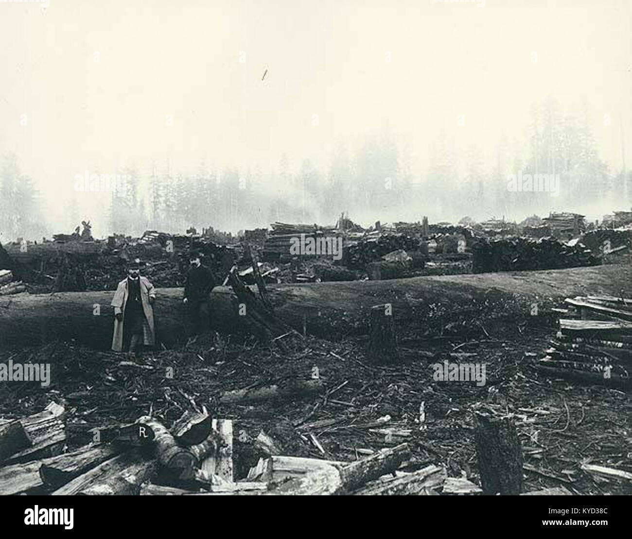Pine St looking south from Pacific Ave, Everett, Washington, January 1892 (LAROCHE 42) Stock Photo