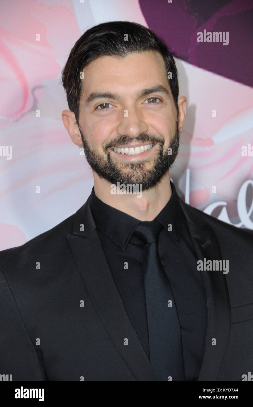 David alpay hires stock photography and images Alamy