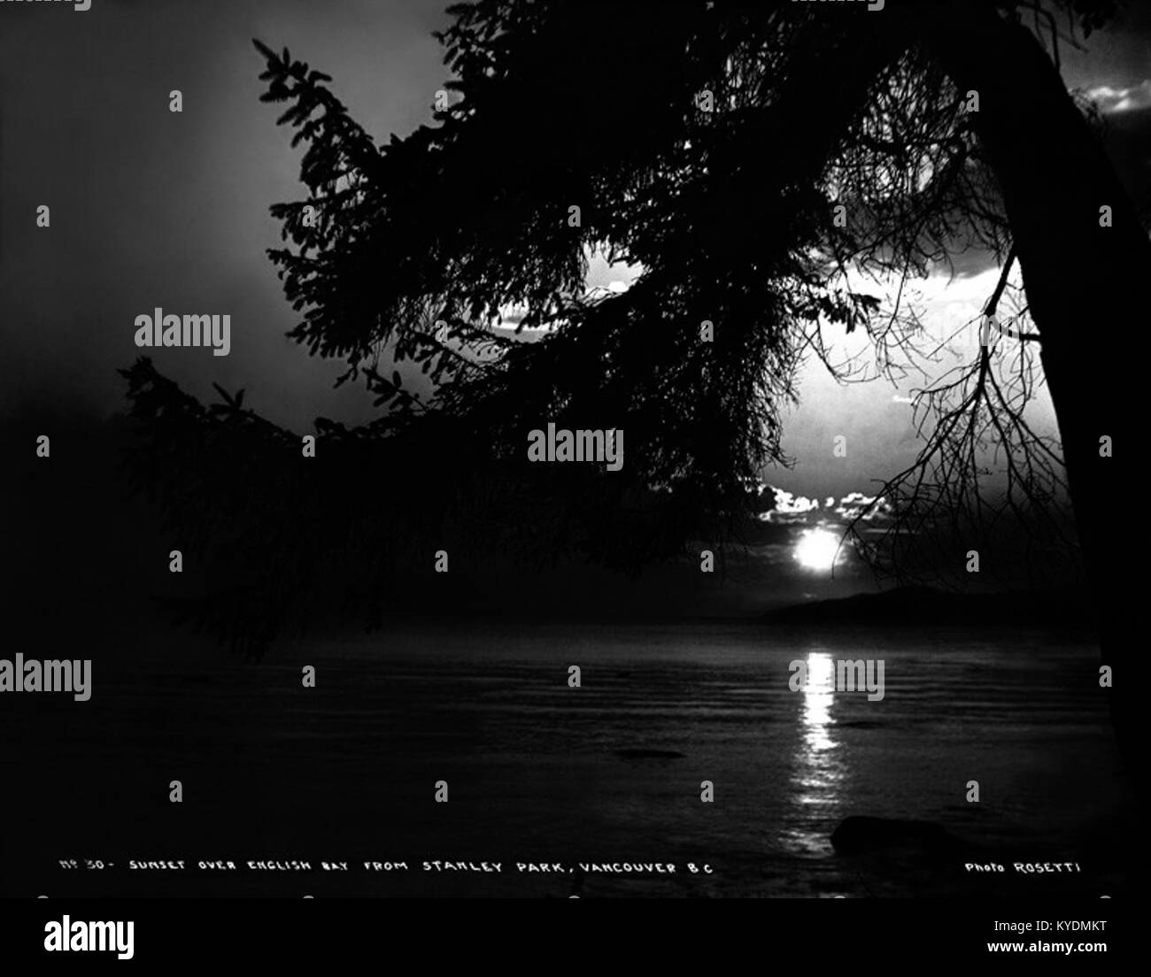 Sunset over english park Black and White Stock Photos & Images - Alamy