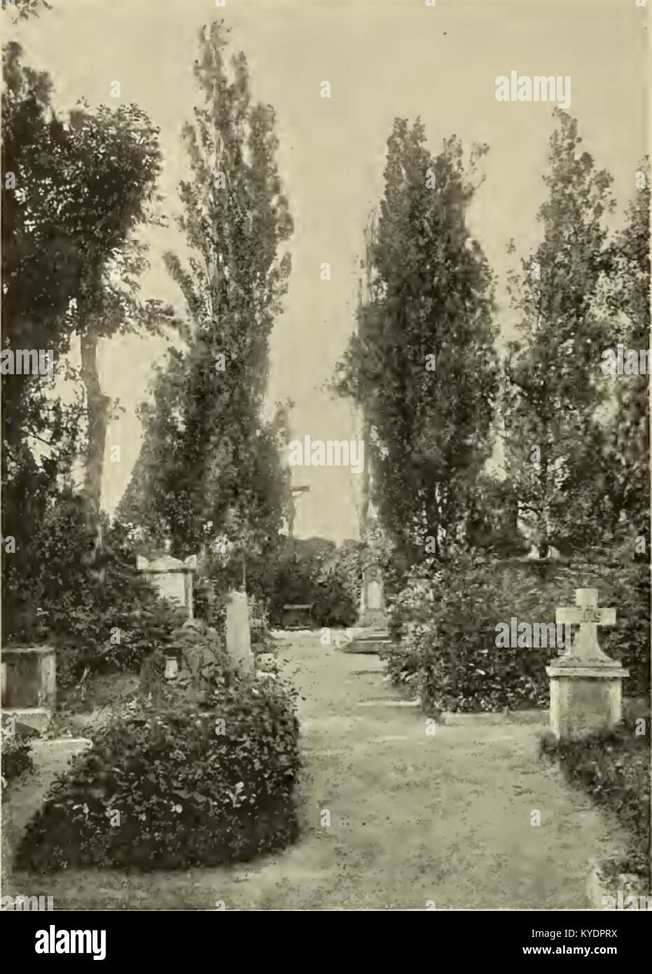 S 364 Abb 370 Partie aus dem Döblinger Friedhofe Stock Photo