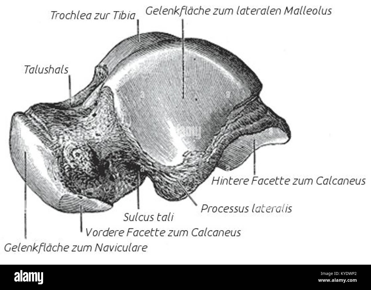 Referencing geological formations hi-res stock photography and images ...