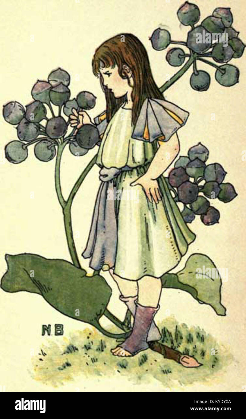 The Dumpy Books for Children; No. 7. A Flower Book, Ivy Stock Photo
