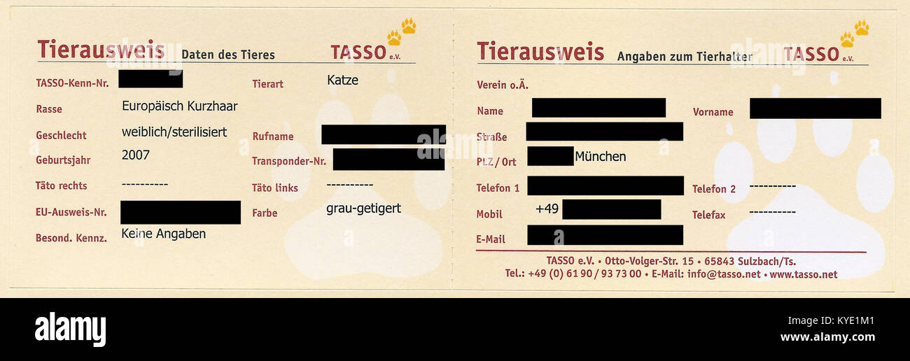 Tierausweis Tasso - Haustierzentralregister für die Bundesrepublik Deutschland Stock Photo