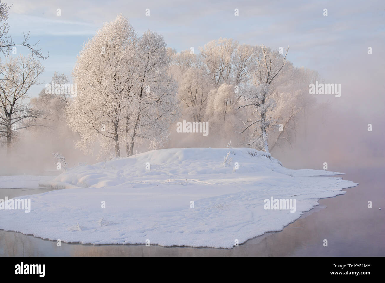 Snowy landscape with trees Stock Photo - Alamy