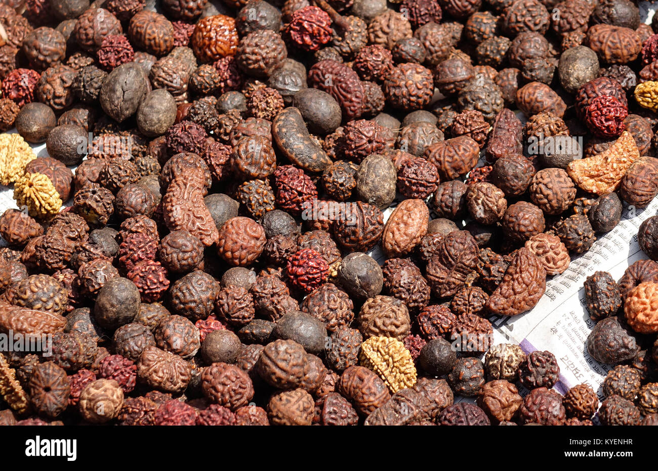 Rudraksha mala hi-res stock photography and images - Alamy