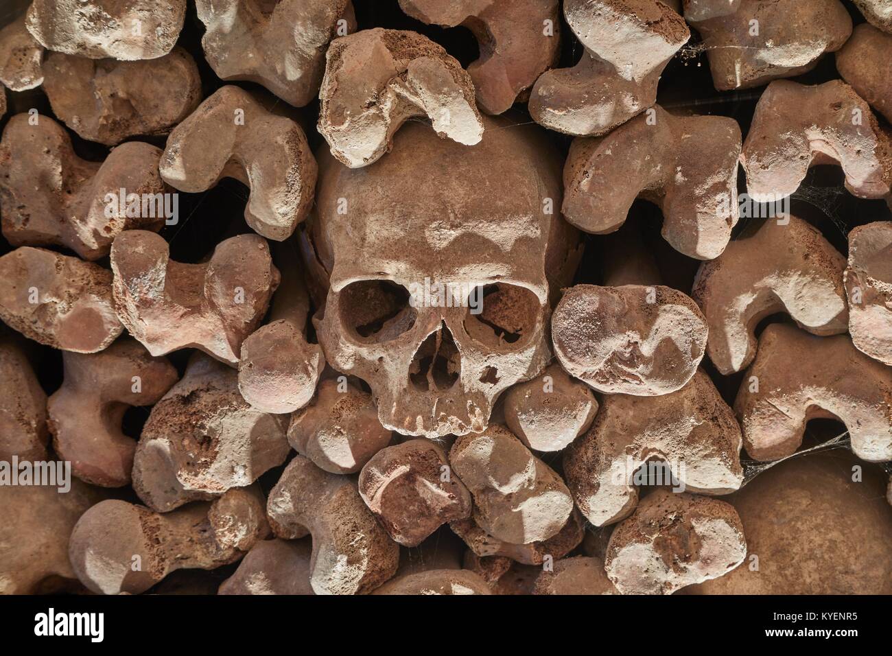 Skulls and bones in a wall Stock Photo