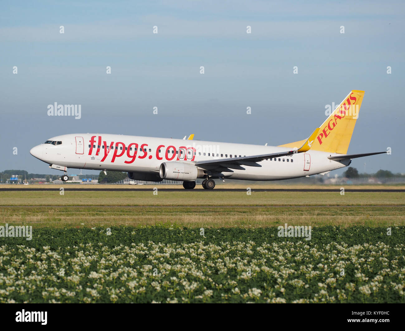 TC-AHP Pegasus Boeing 737-82R(WL) cn40721 takeoff from Schiphol (AMS - EHAM), The Netherlands pic1 Stock Photo