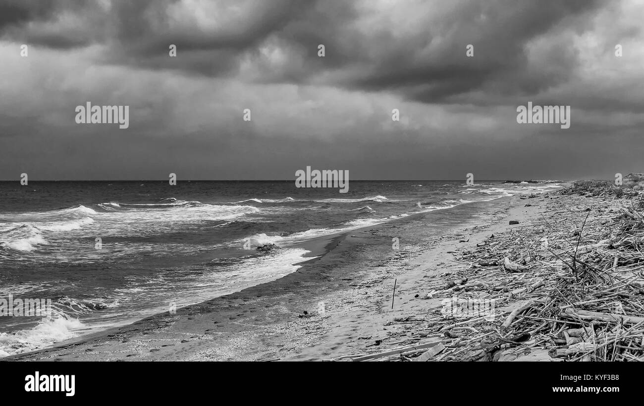 The sea in the winter season, San Rossore, Pisa, Tuscany, Italy Stock Photo