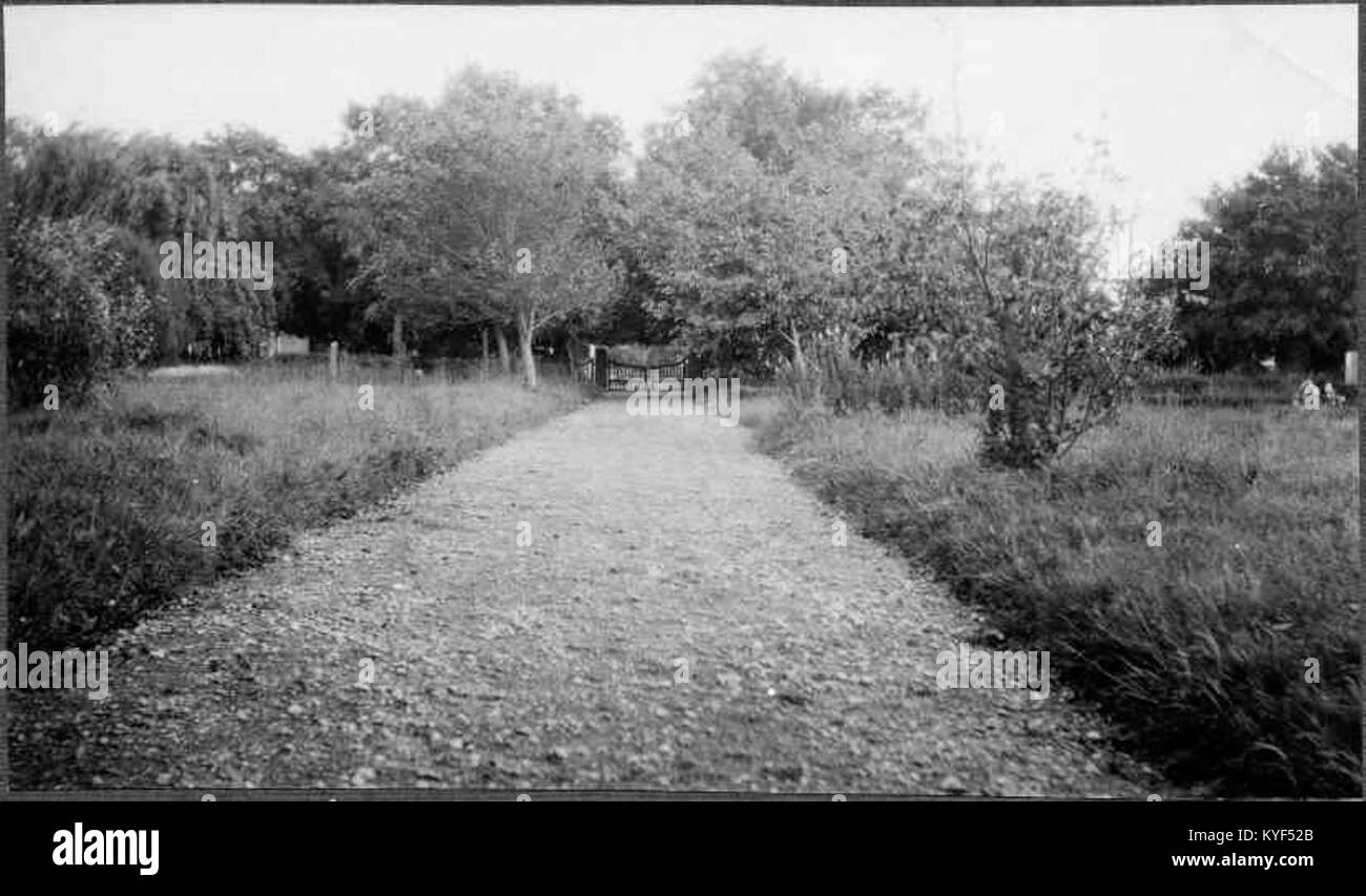 Birthdate: March 18, 1871. Birthplace: Torpet Norra rens, Vstra Torss parish, Kronoberg County, Smland, Sweden (Mag- och leverkrfta). Immediate Henrik Svensson in MyHeritage family trees (Pedersen Web Site) Henrik Svensson (1871 - 1943) - Genealogy - Geni