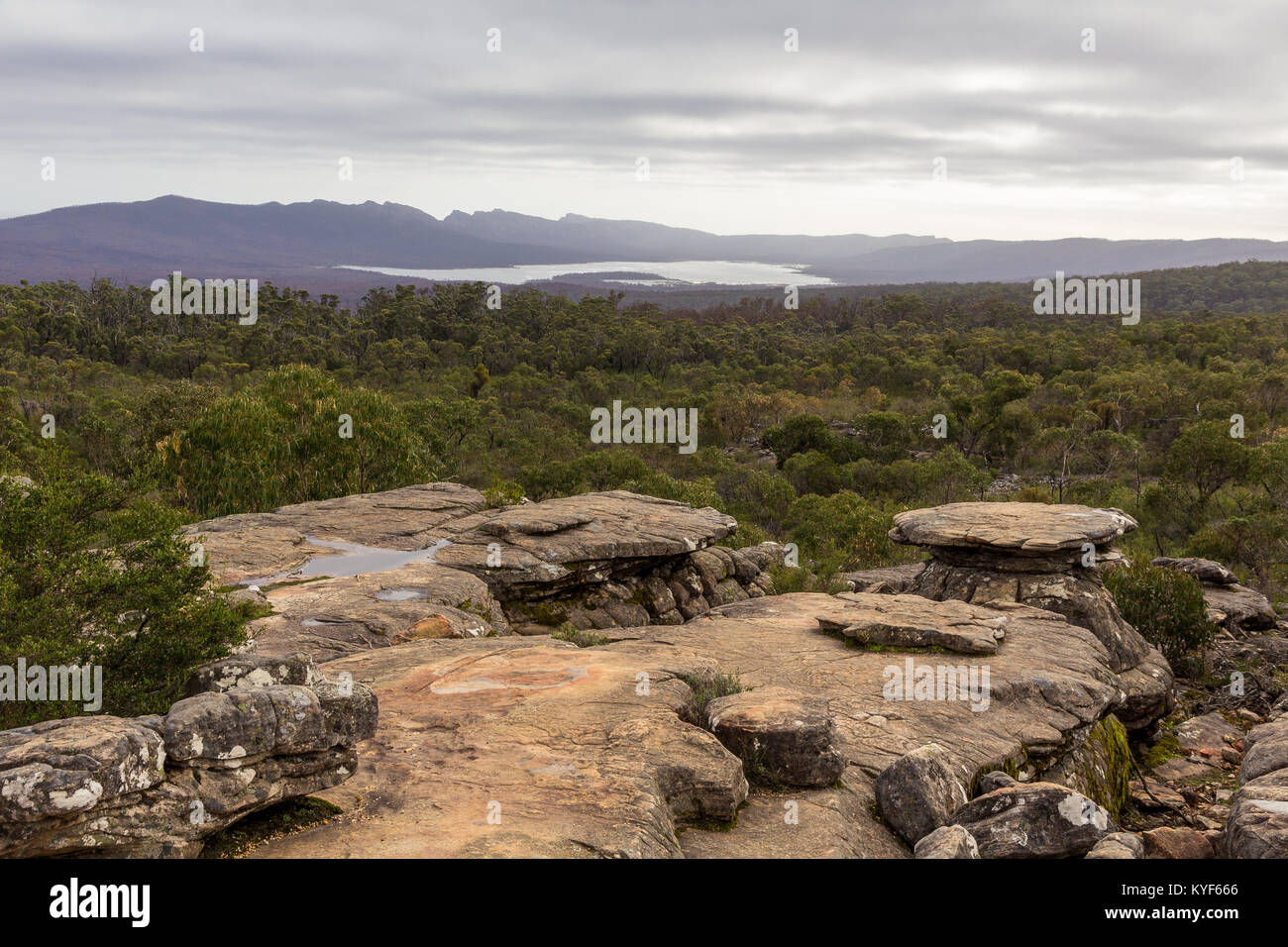 A view of Grampians National Park from Reed Lookout Stock Photo
