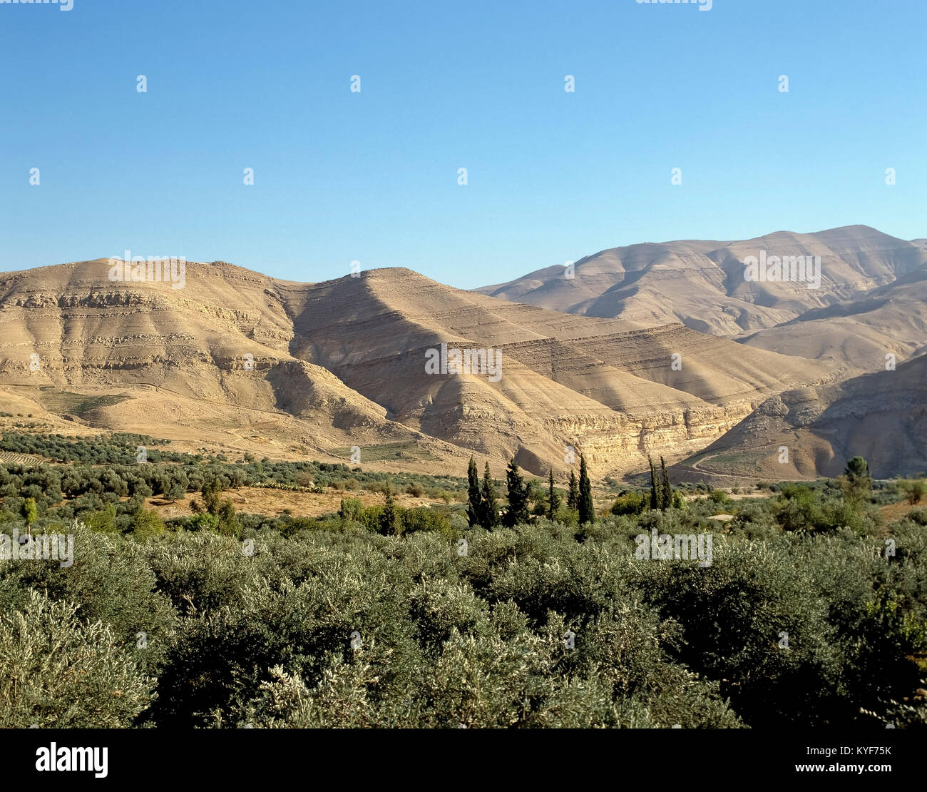 2293. Wadi al Hasa, Tafila Gov, Jordan Stock Photo - Alamy