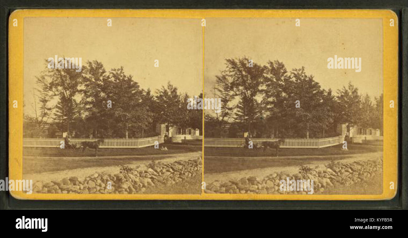 View of a buggy on a residential street, by Putnam, George Palmer, 1814-1872 Stock Photo