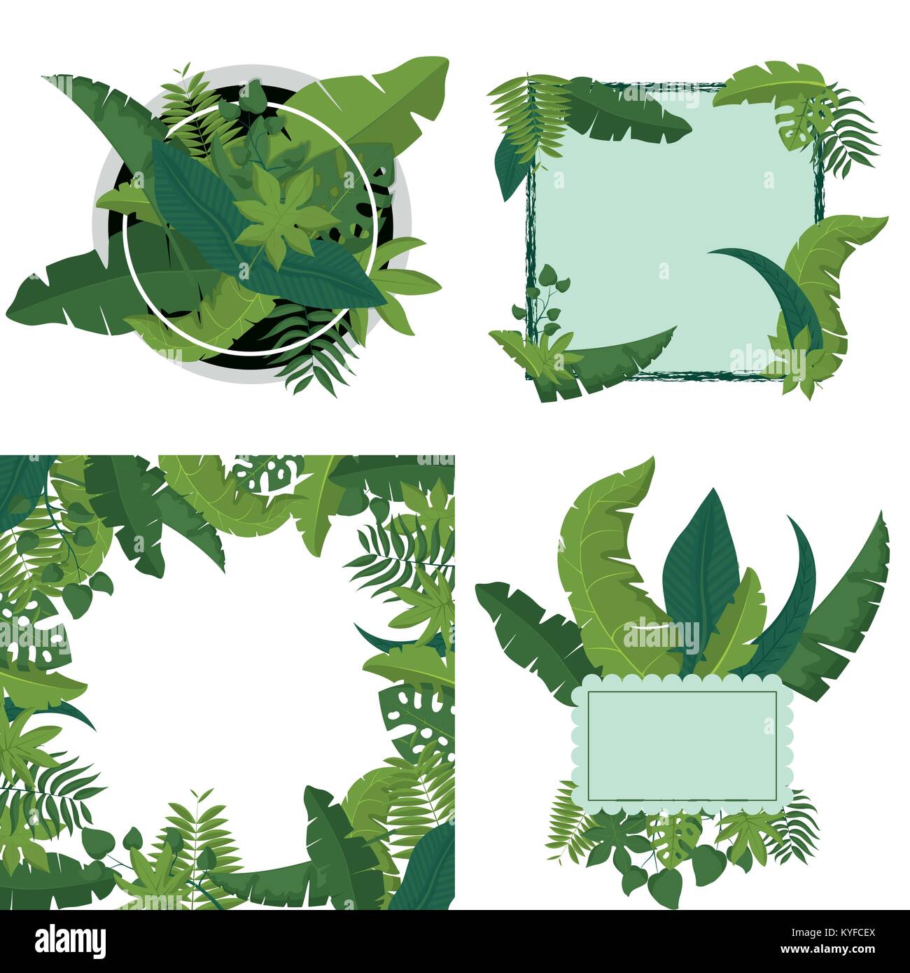 Tropical leaves frame Stock Vector Image & Art - Alamy