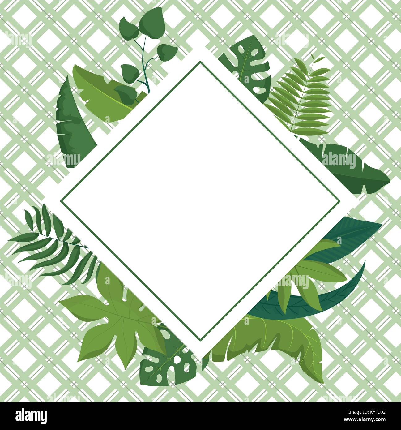 Tropical leaves frame Stock Vector Image & Art - Alamy