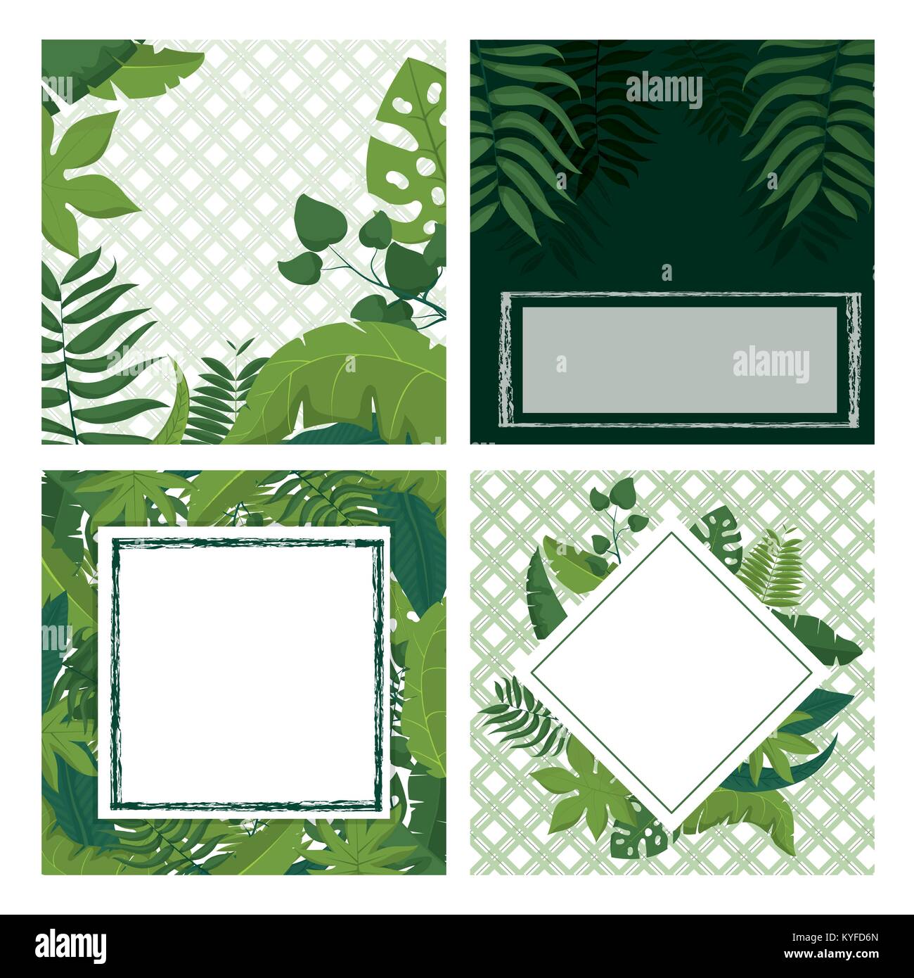 Tropical leaves frame Stock Vector Image & Art - Alamy