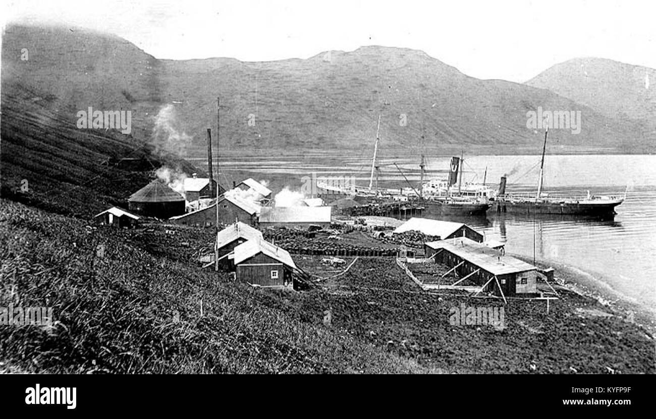 Whaling station showing buildings and harbor, Akutan, Alaska, ca 1915 (COBB 79) Stock Photo
