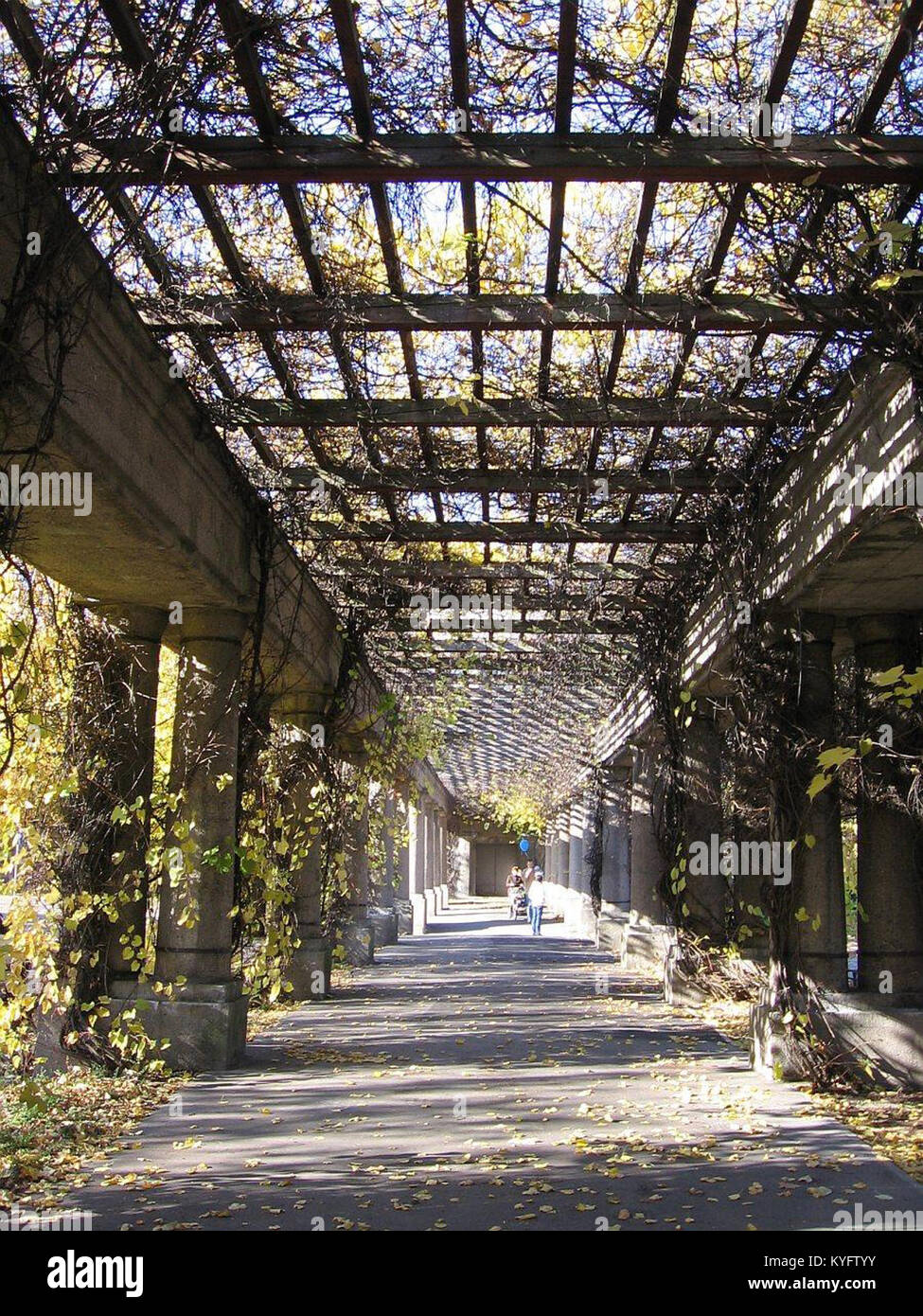 This Image Shows The Pergola In Wroclaw A Prominent Landmark Known For this-image-shows-the-pergola-in-wroclaw-a-prominent-landmark-known-for