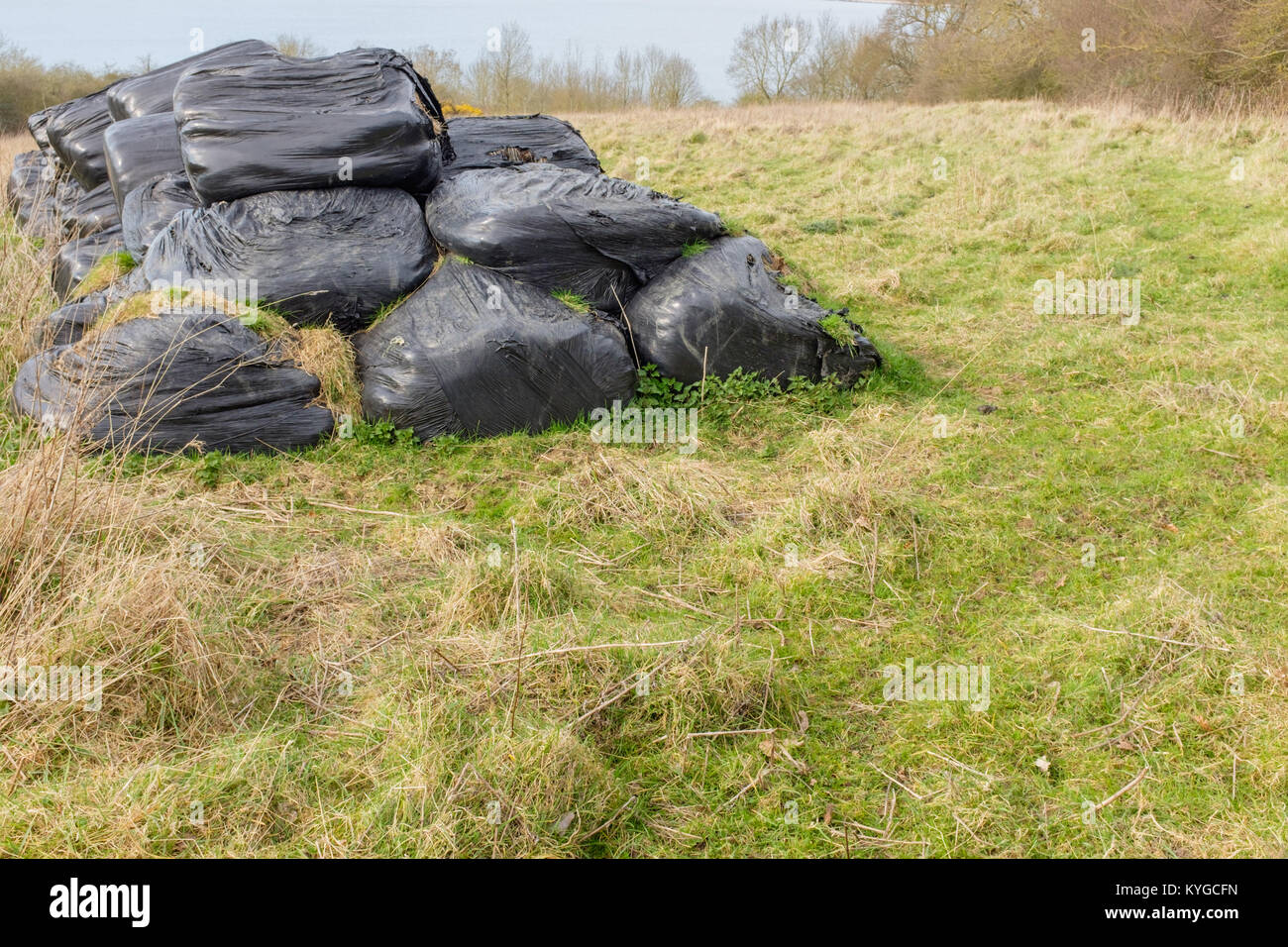Decaying bales of hay wrapped in black plastic bags, polluting the countryside UK Stock Photo