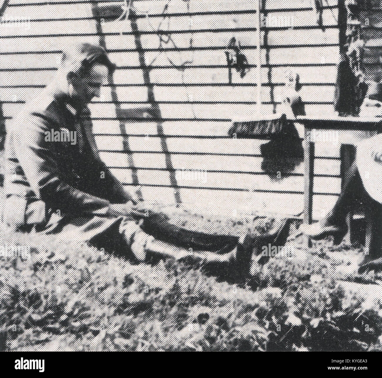 Early 20th century european youth culture hi-res stock photography and ...