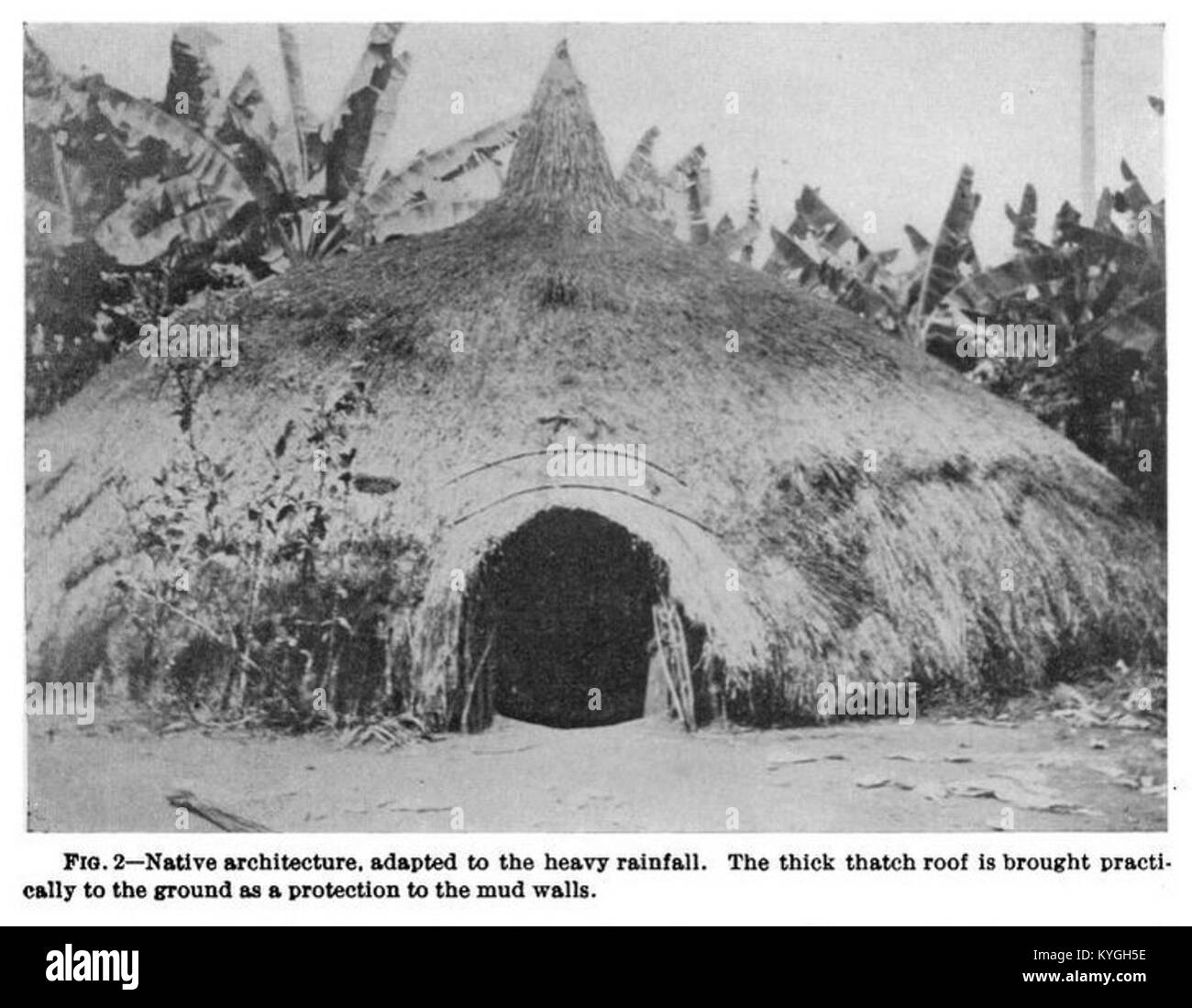 ROSS 1919 Fig 2 Native Architecture Adapted To The Heavy Rainfall