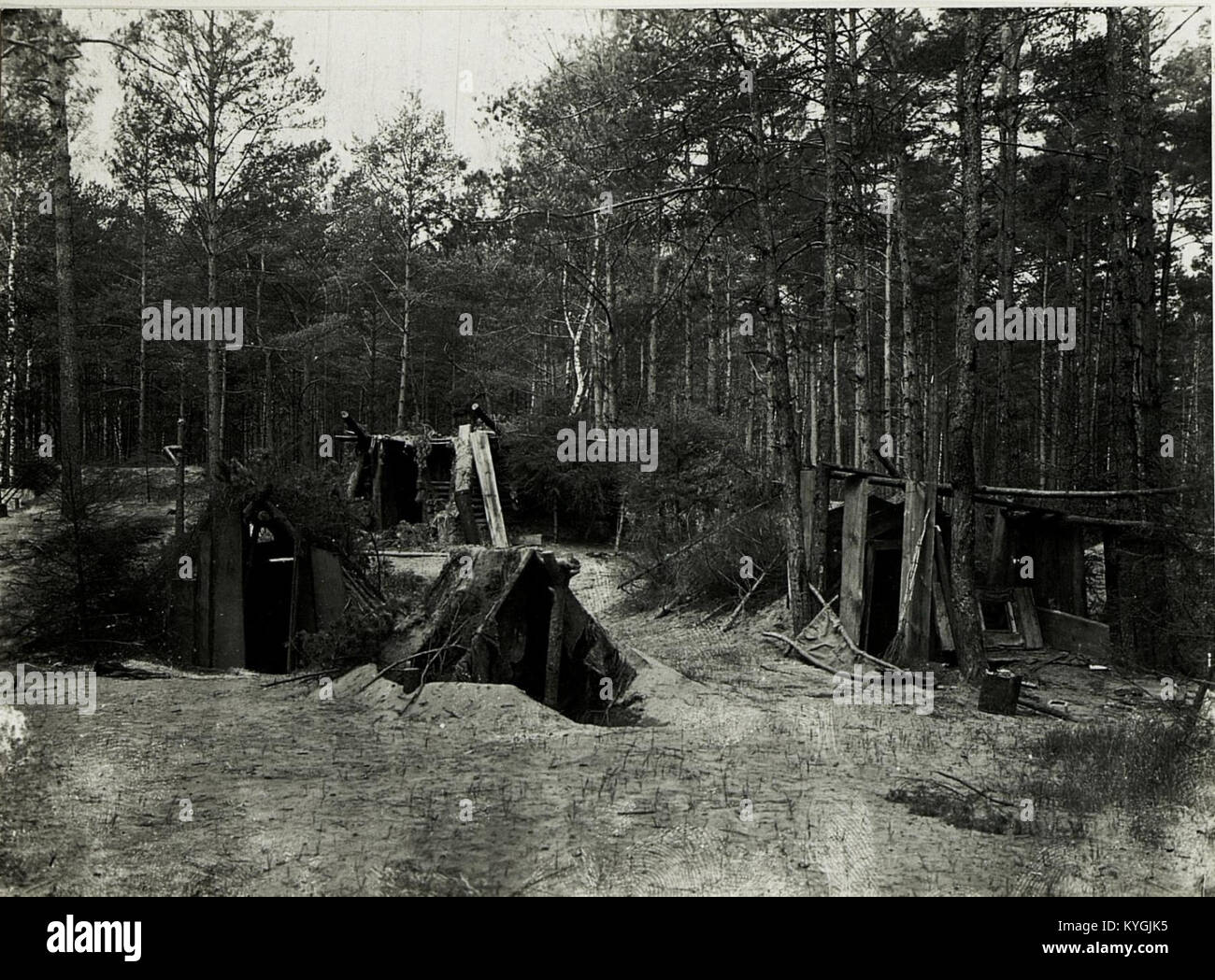 Russische Ruhestellung im Wald bei Falkòwska - Wòlka. (BildID 15590078) Stock Photo