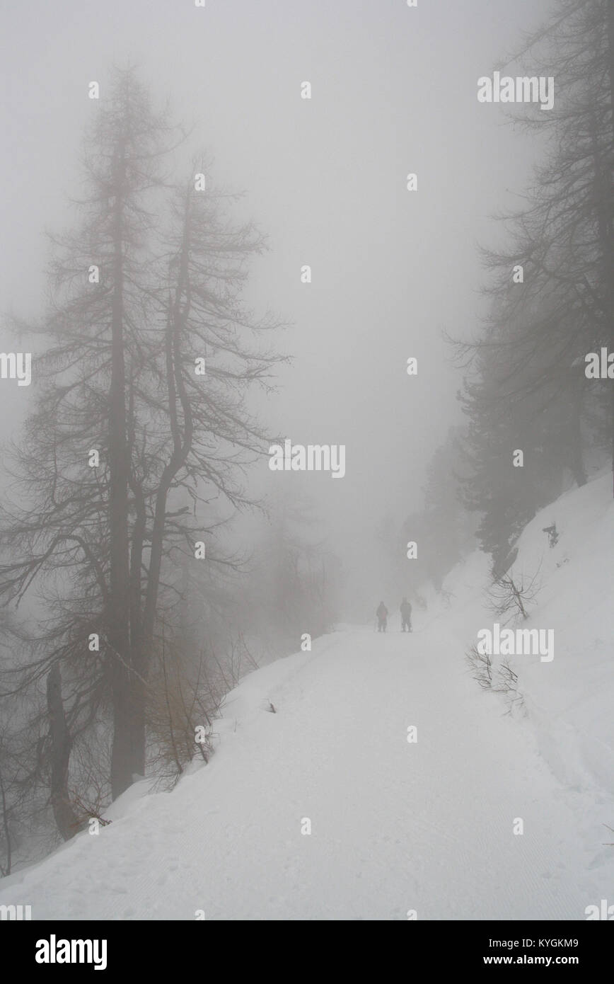 Foggy landscape in the forest Stock Photo - Alamy