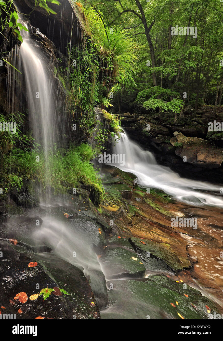 Dunloup Creek Waterfall in the New River Gorge West Virginia Stock Photo