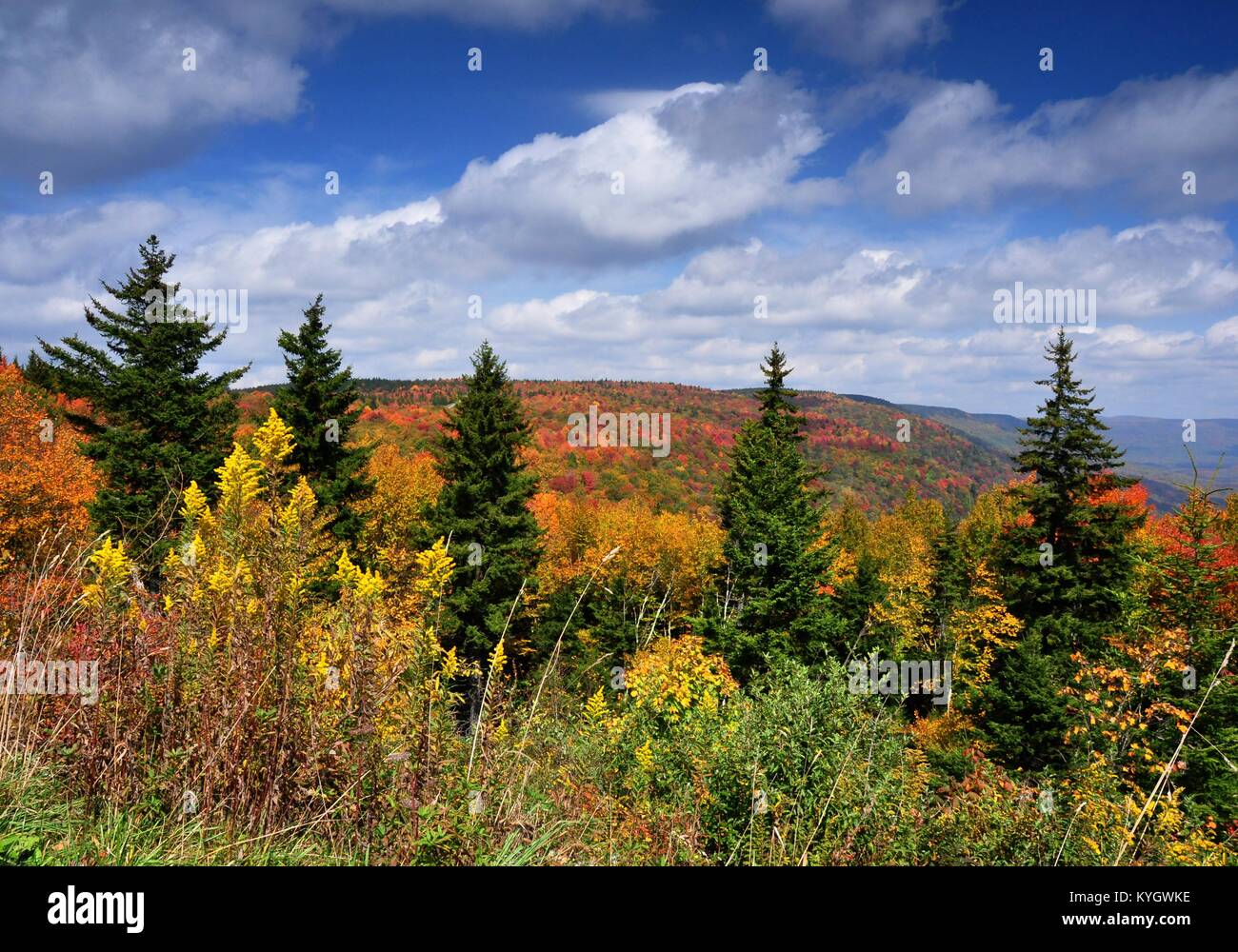Scenic Overlook of Autumn colors, West Virginia Stock Photo