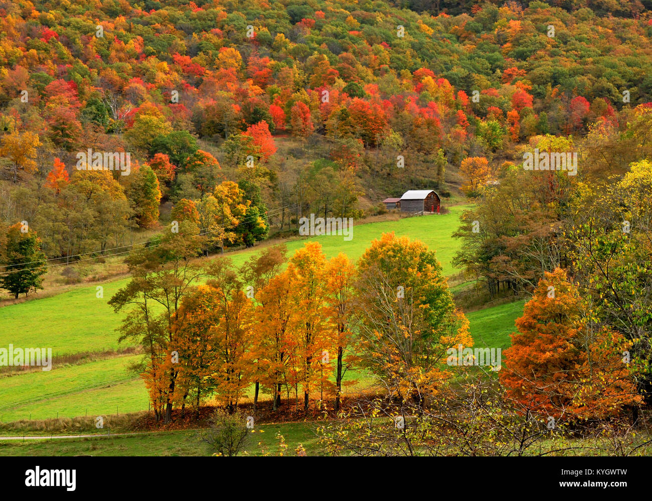 Germany Valley with fall colors and barn Stock Photo