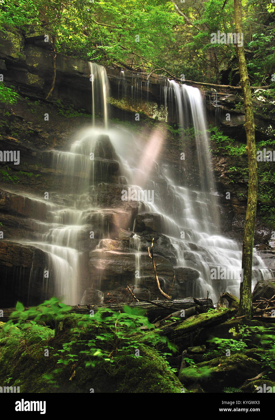White Oak Falls in dazzling light. West Virginia. Stock Photo