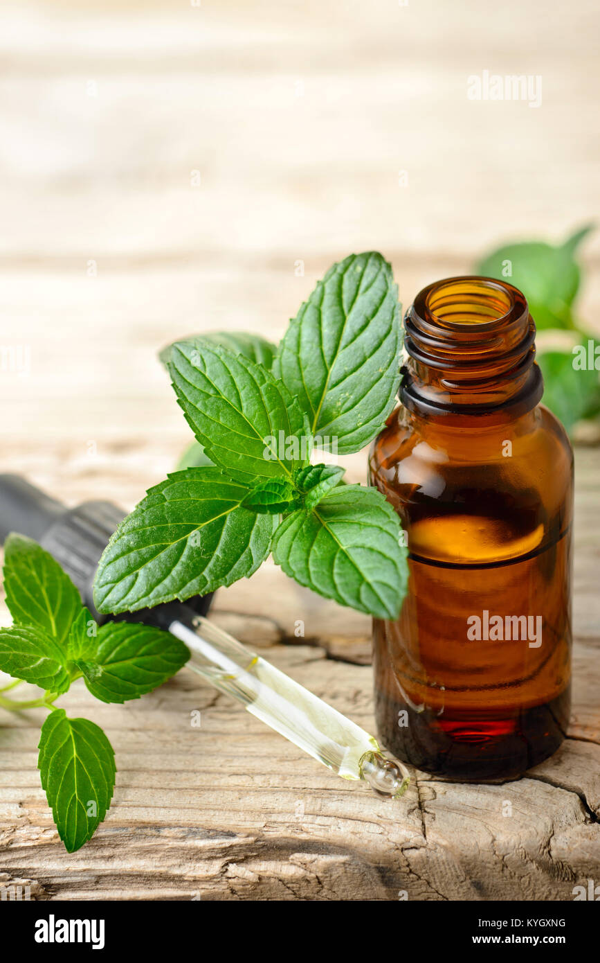 Peppermint oil hi-res stock photography and images - Alamy