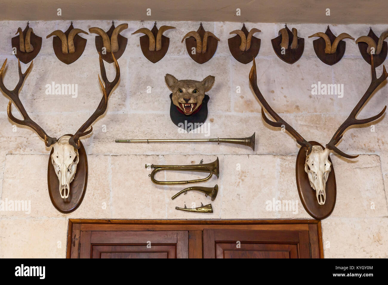 Animal heads on the wall. Stock Photo