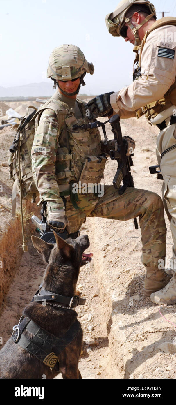 Sgt. Charles Nelson [left], a 27-year-old military working dog handler from Ahoskie, N.C. is outfitted with a microphone by the television network Animal Planet and Ten100 Production Company’s Cico Silva [right] as his MWD partner Zzack looks up with curiosity. The MWD team accompanied Kentucky’s Agribusiness Development Team 4 during their mission in southern Afghanistan on July 11, 2012 to help guard against any potential unseen threats to Coalition Forces, while the film crew gathered footage documenting MWD teams on mission. (U.S. Army photo by Staff Sgt. Paul Evans) Stock Photo