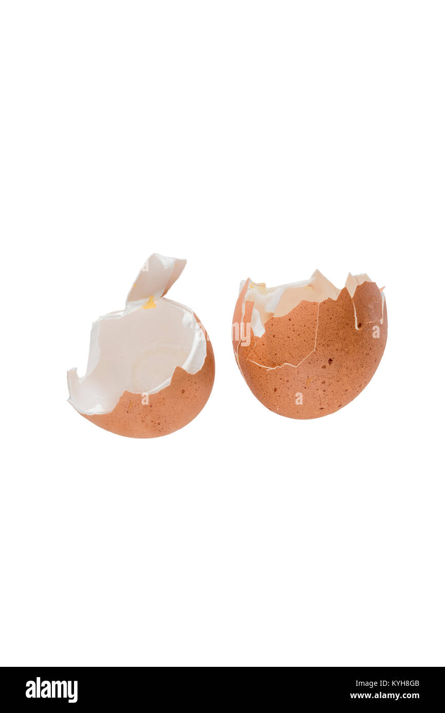 Two halves of an empty eggshell. Stock Photo