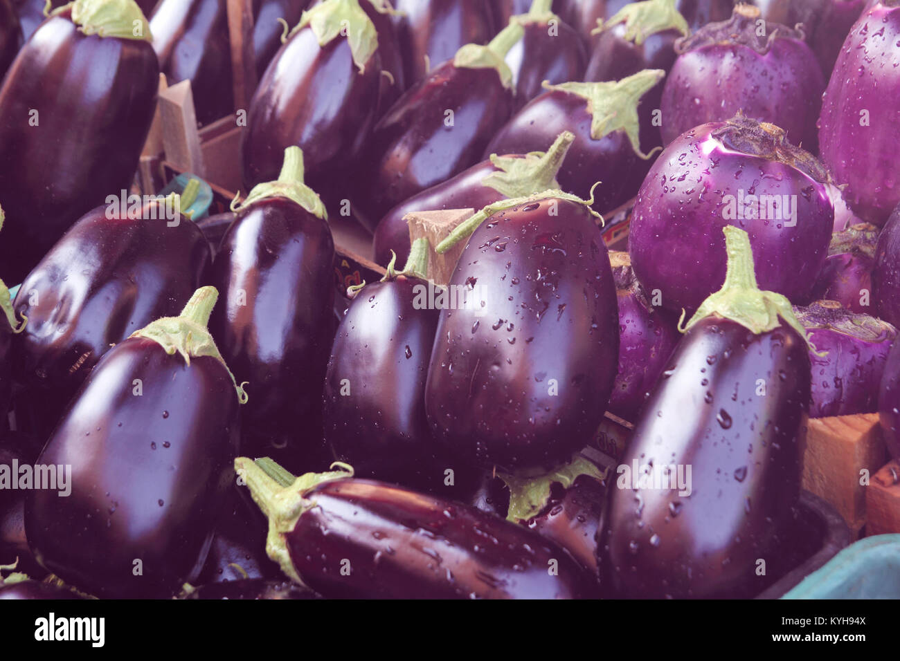 fresh aubergines closeup Stock Photo