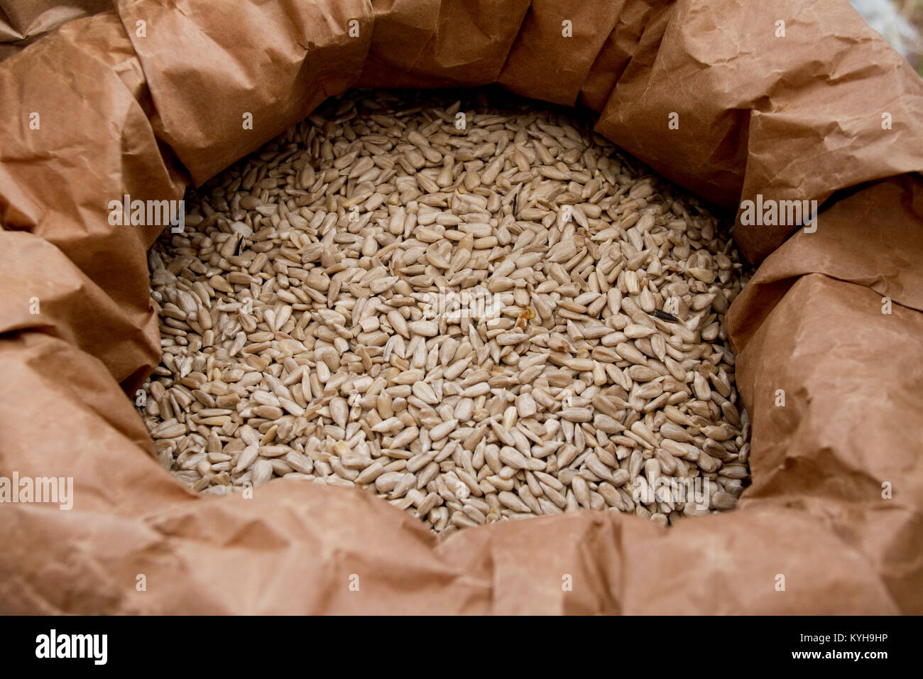 Sunflowers seeds. Fresh organic peeled sunflower seeds in a sack for