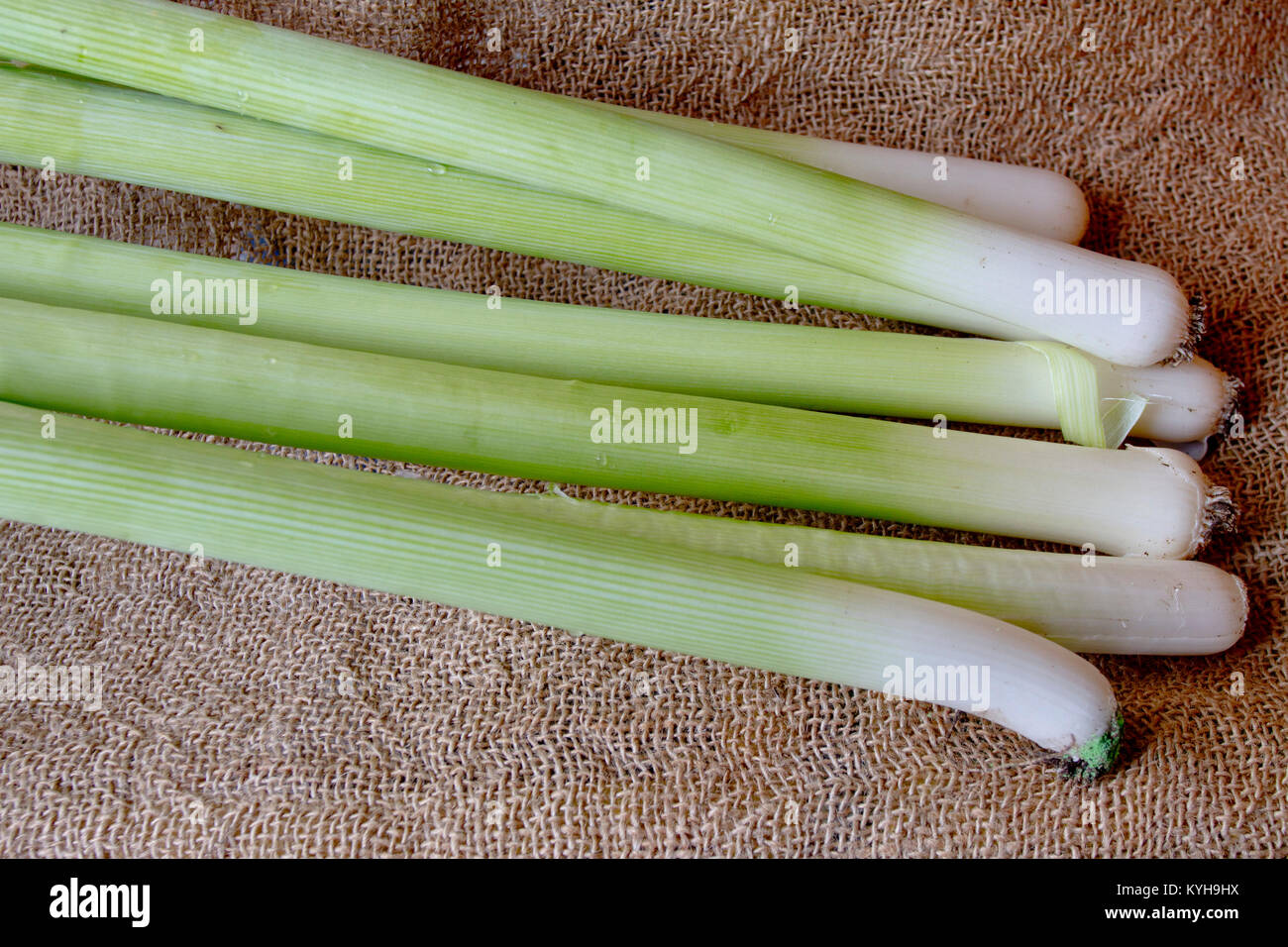 Leek. Fresh organic raw leek vegetable on a burlap background. healthy
