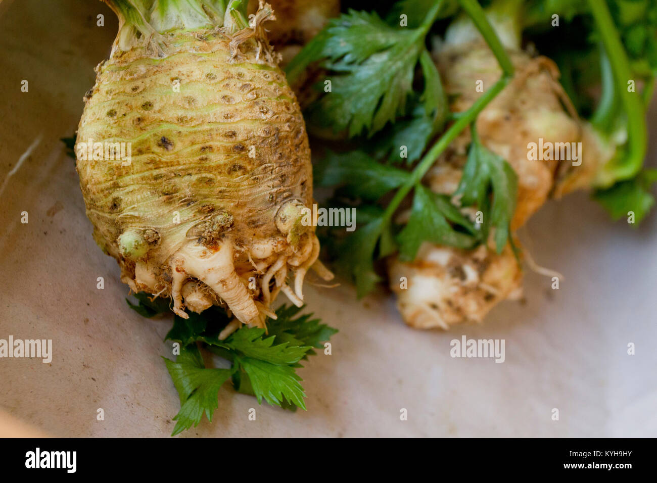 Celery root. fresh organic celery root. healthy food. vegetables
