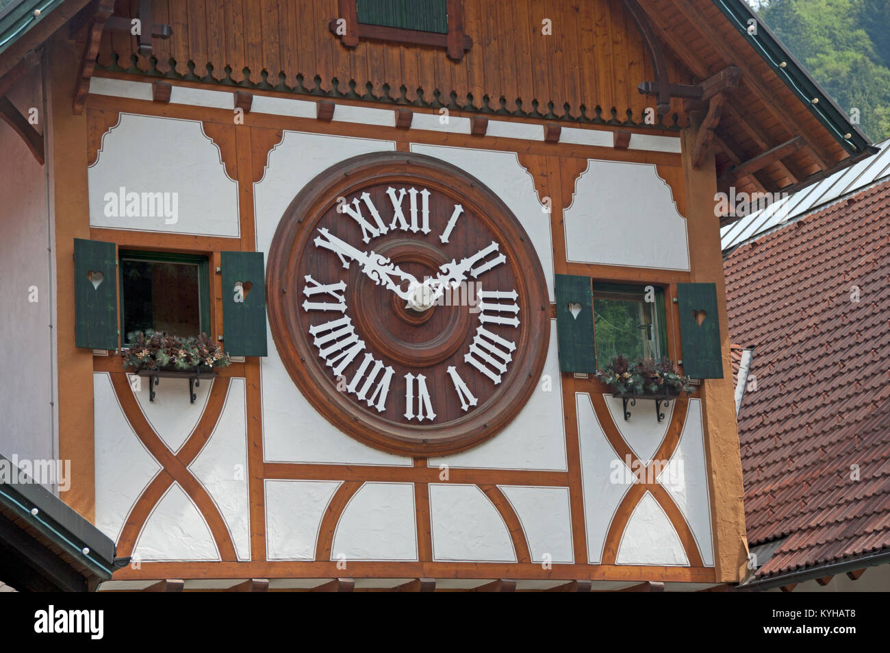 Black forest cuckoo clock hires stock photography and images Alamy