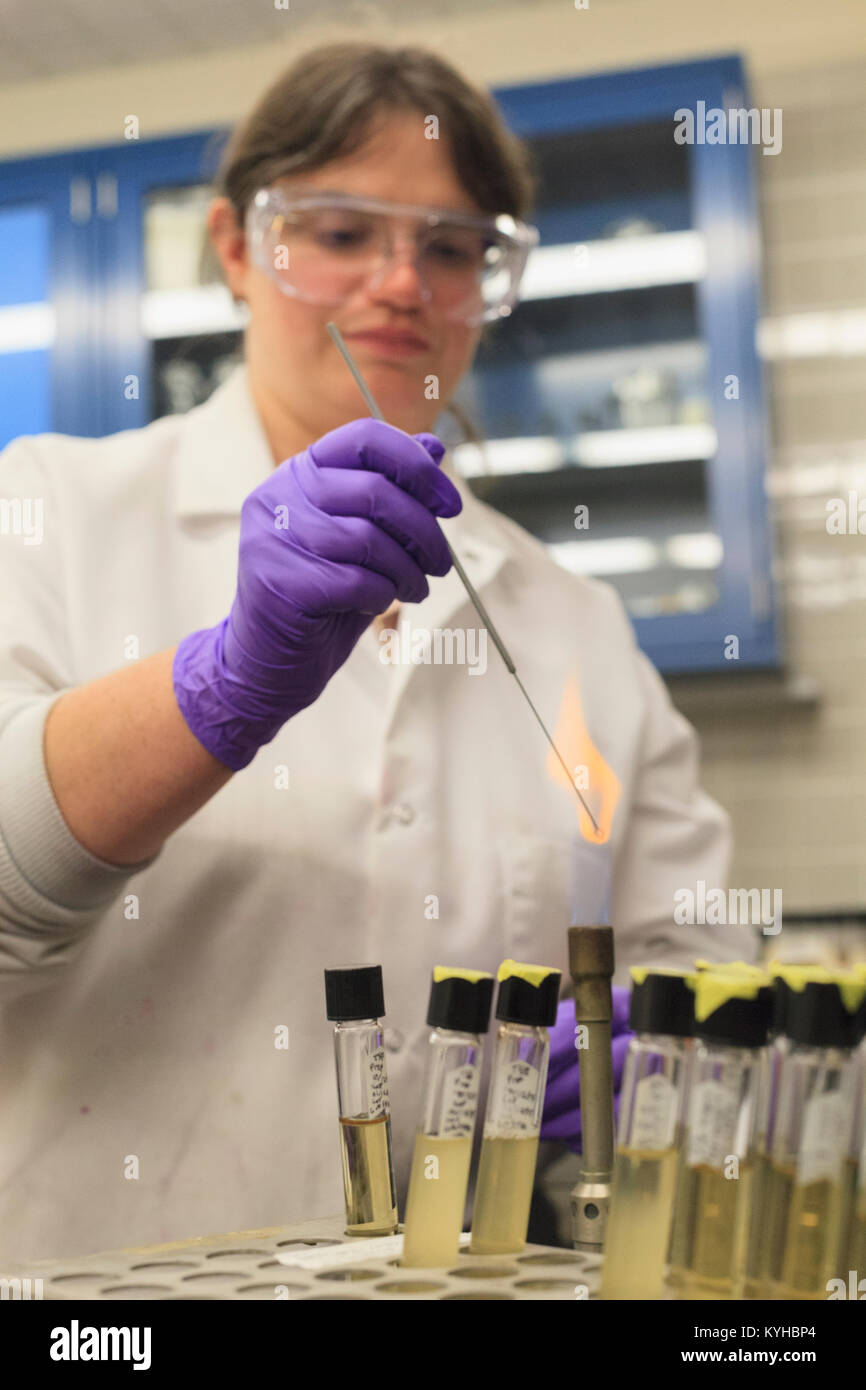 Lab technician checking flame test color of sample Stock Photo