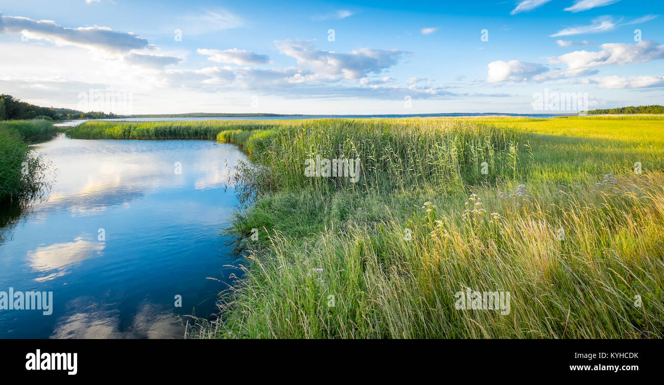 Swedish landscape panorama of marshes , waterways and fields of yellow