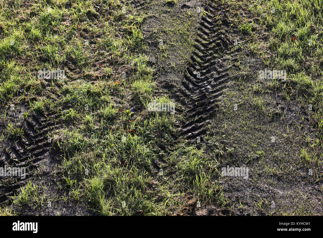 JCB Digger tracks pictured in the grass in Chichester, West Sussex, UK. Stock Photo